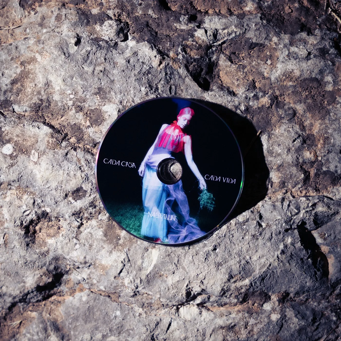 El disc sobre la roca